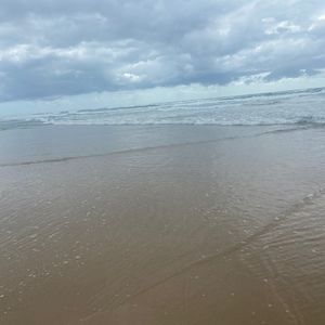 Meet your Posher, Chloe